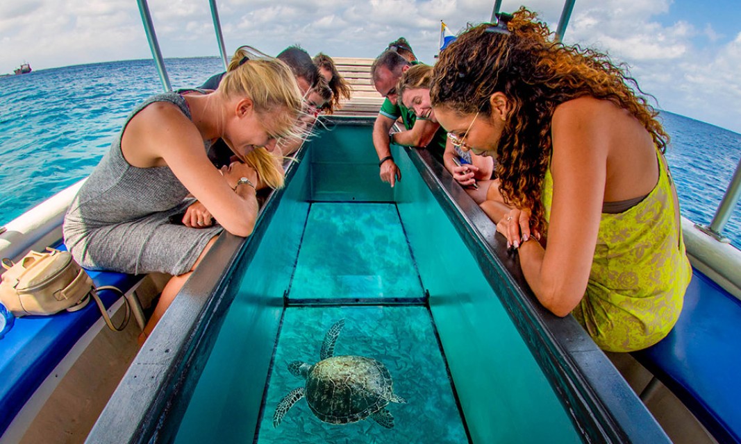 Glass Bottom Boating
